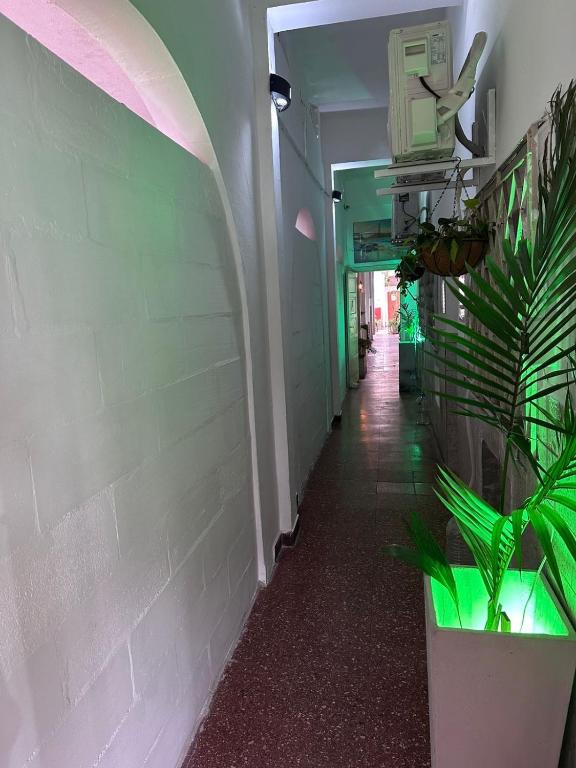 Hospedaje en Avenida Artigas 5 - 2