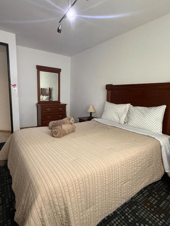 Vertiz apartment-hot tub - wifi- HiveNB - 4
