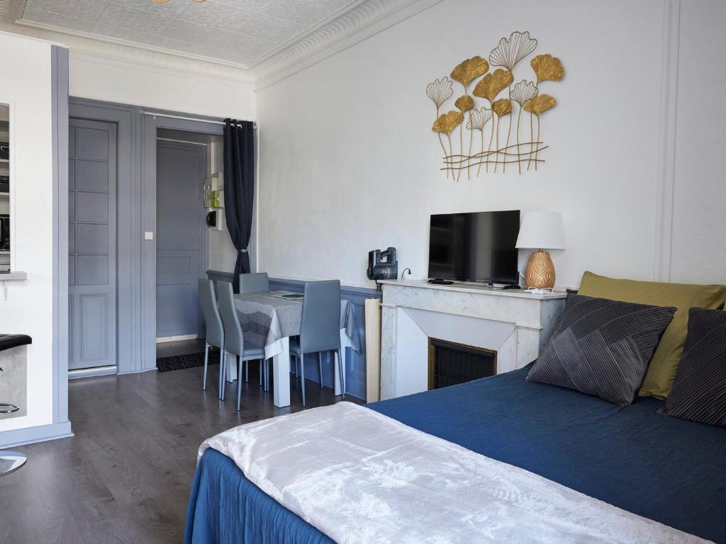 Charmant studio rénové en centre-ville, balcon, animaux acceptés, Wifi - FR-1-555-118 - 2
