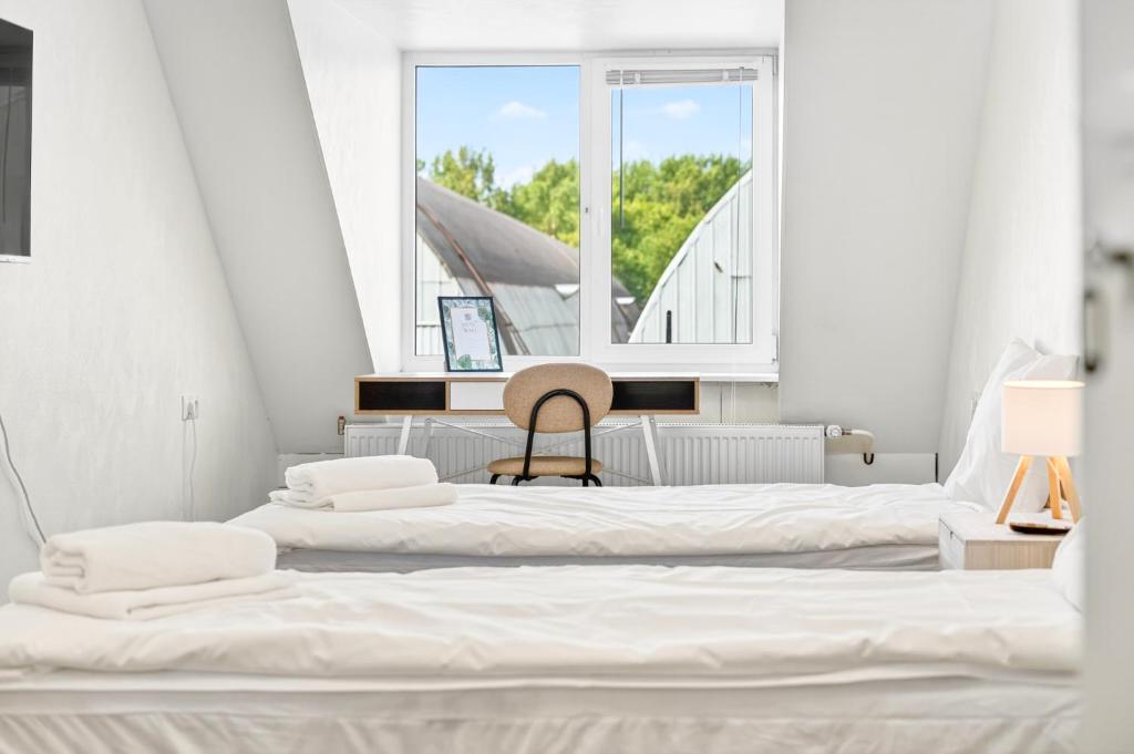 Angaar - Tallinn Airport, Tallinn