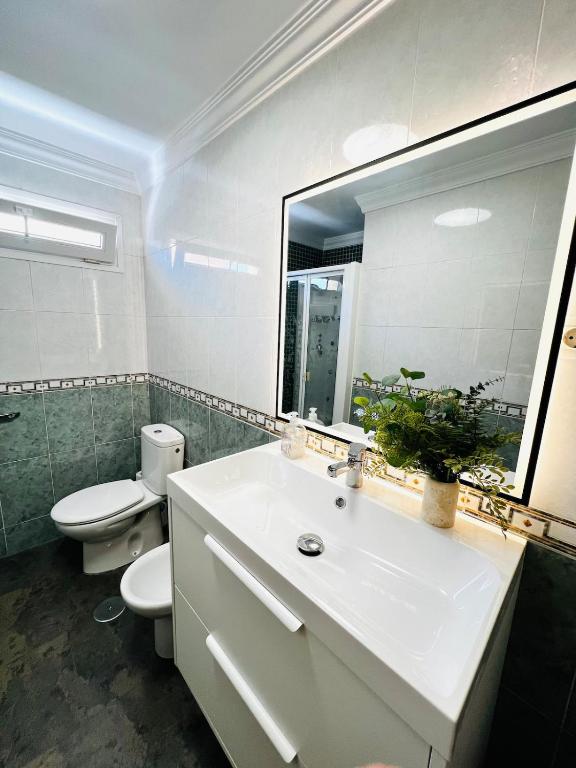 Amazing New Torrox premium front SEA - 2