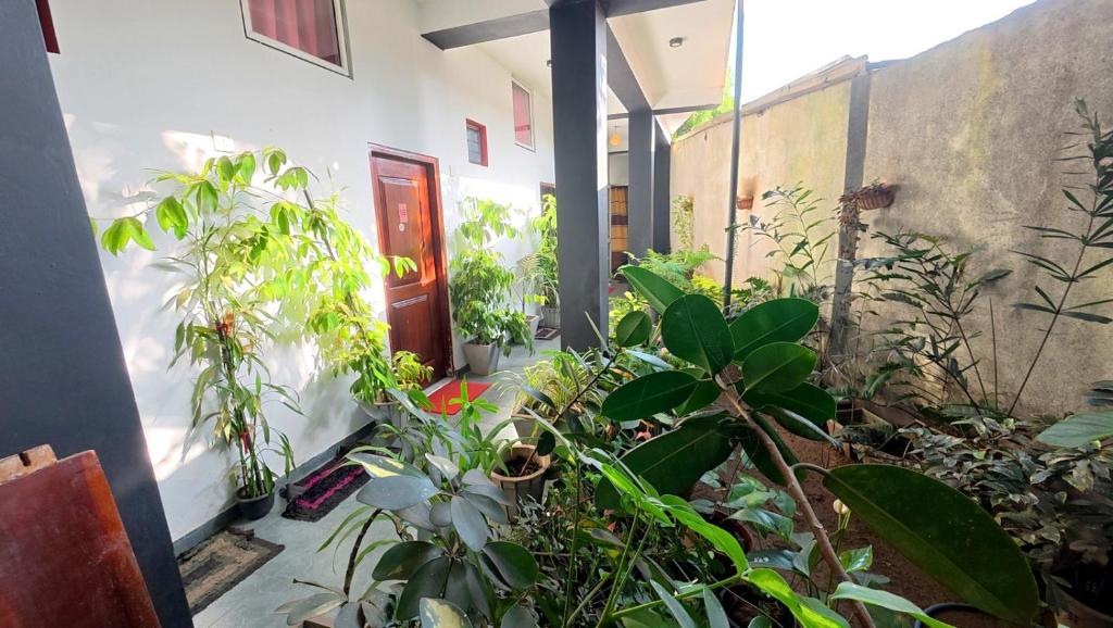 New Lihiniya Guest, Nittambuwa