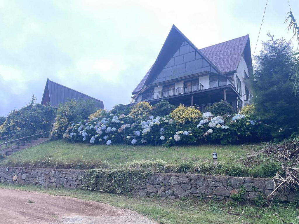 Omaya Hills, Nuwara Eliya