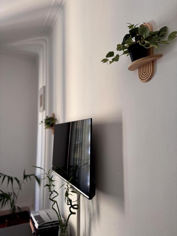 Three bedroom apartment in the centre of the city - 3