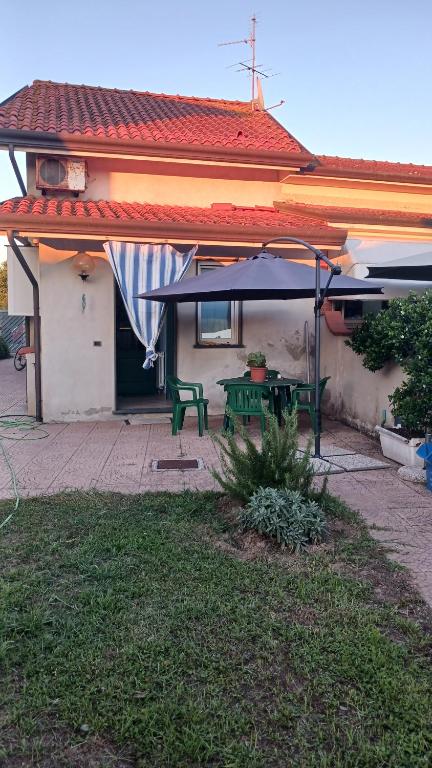 Plumbago, Torre del Lago Puccini