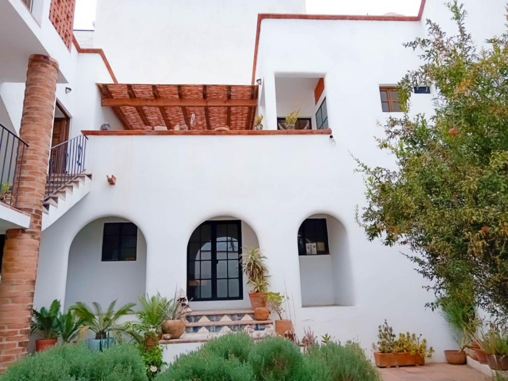 Casita Olivia - 4