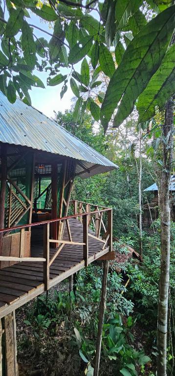 Casa del árbol - Kiosko el Tacana - 2