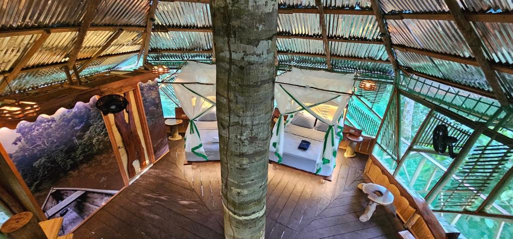 Casa del árbol - Kiosko el Tacana - 4