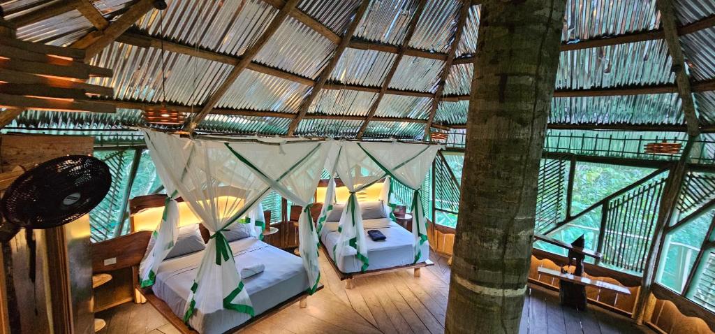 Casa del árbol - Kiosko el Tacana - 1