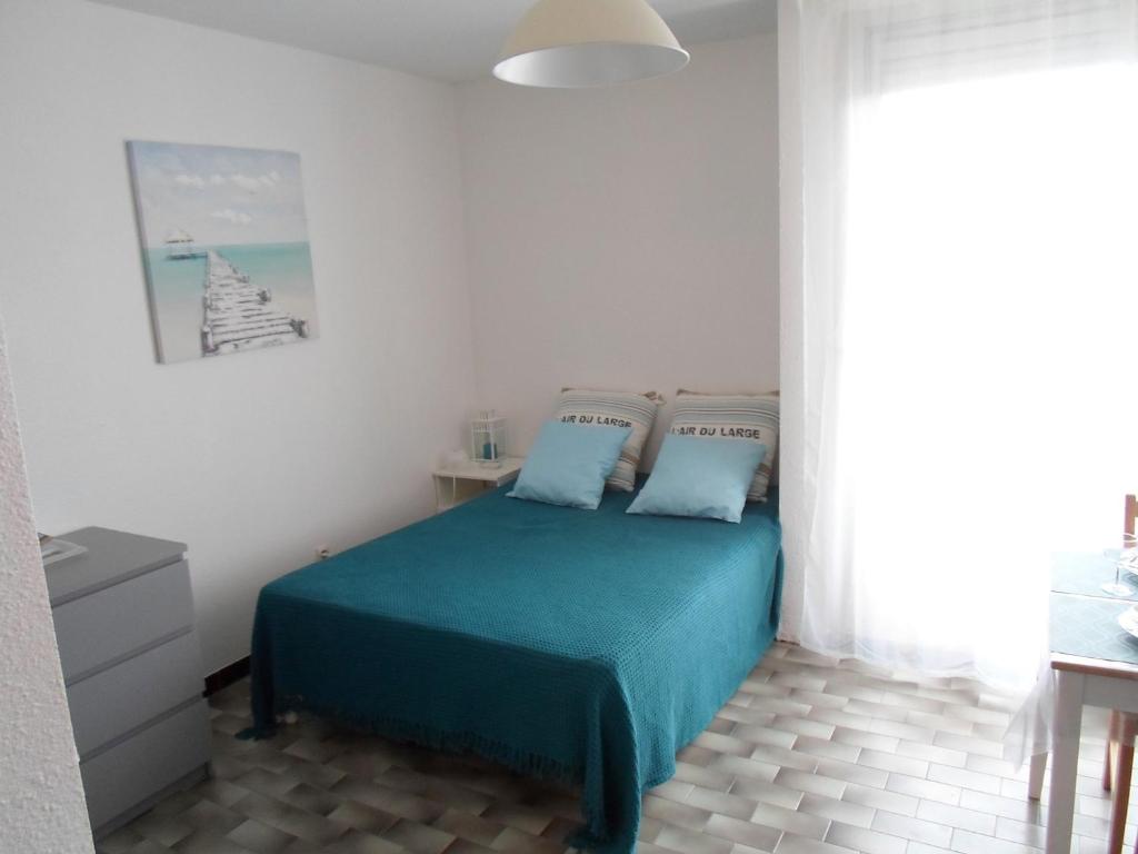Studio climatisé, proche Thermes, animaux admis - FR-1-503-87, Balaruc-les-Bains