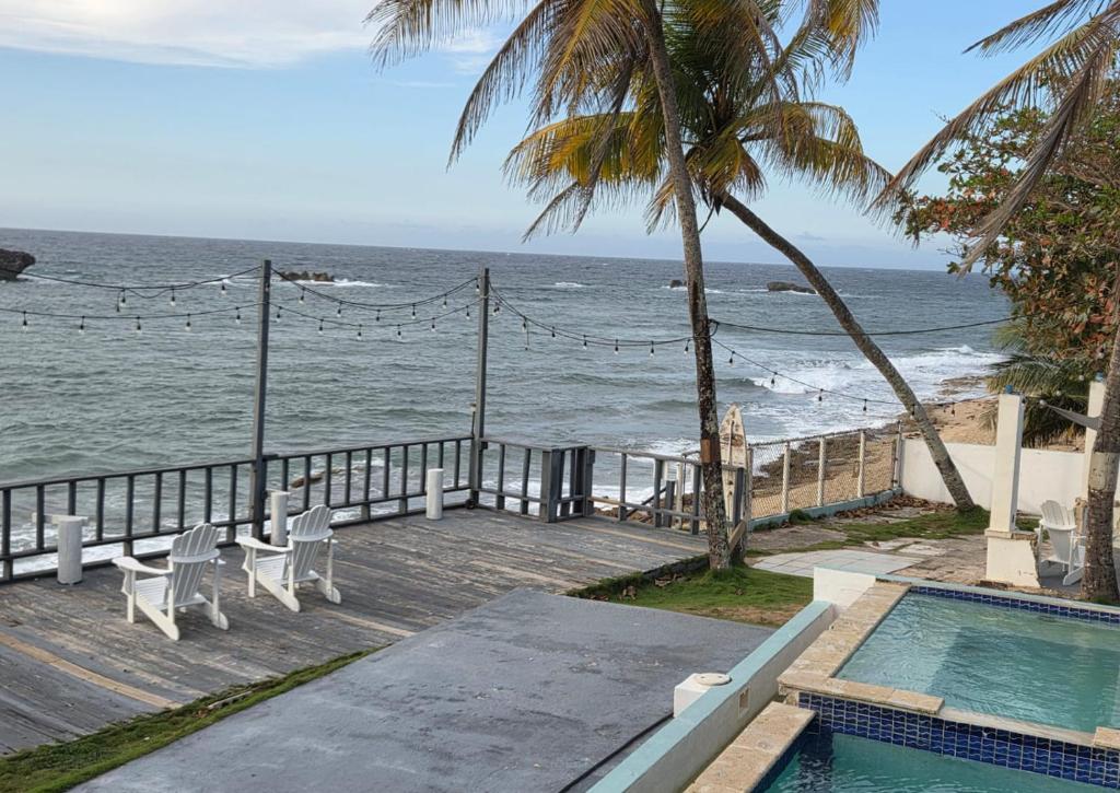 Ảnh 4