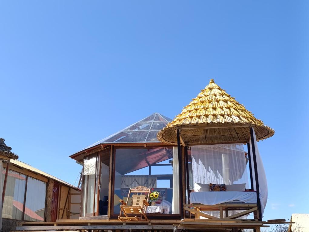 Luna Titicaca Grebe, Puno