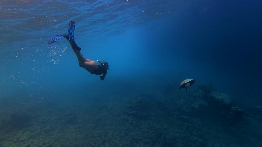 Sports and activities