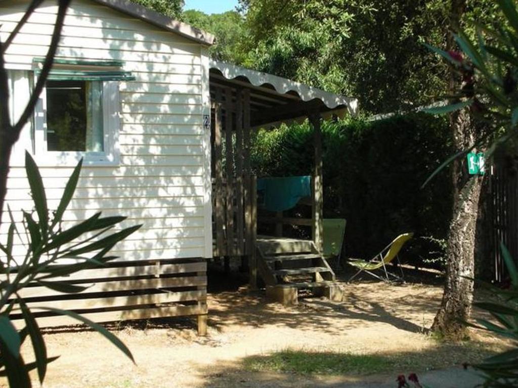 Mobil-home 6 pers avec terrasse à Bormes-les-Mimosas - API-1-52-361 - 5