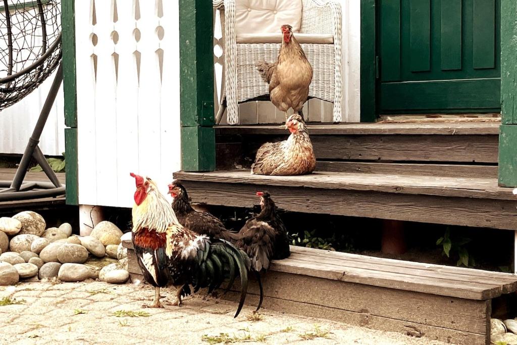 Gårdsleilighet, Verdal