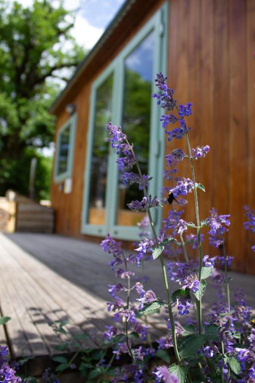 The Hideaway at Hidden Wood Glamping, Corsley