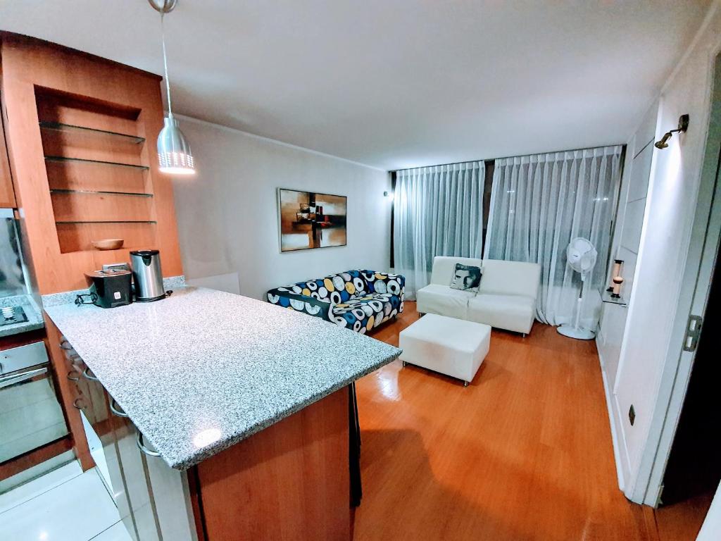 Home Valdivia Providencia - 3