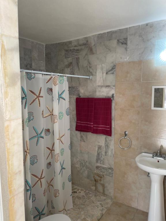 Casa Blanca - 3