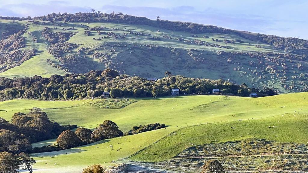 Mohua Park - Catlins Eco Accommodation, Owaka