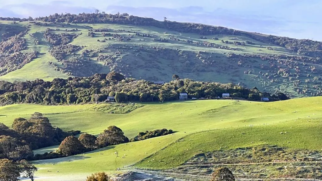 Mohua Park - Catlins Eco Accommodation, hotel in Owaka