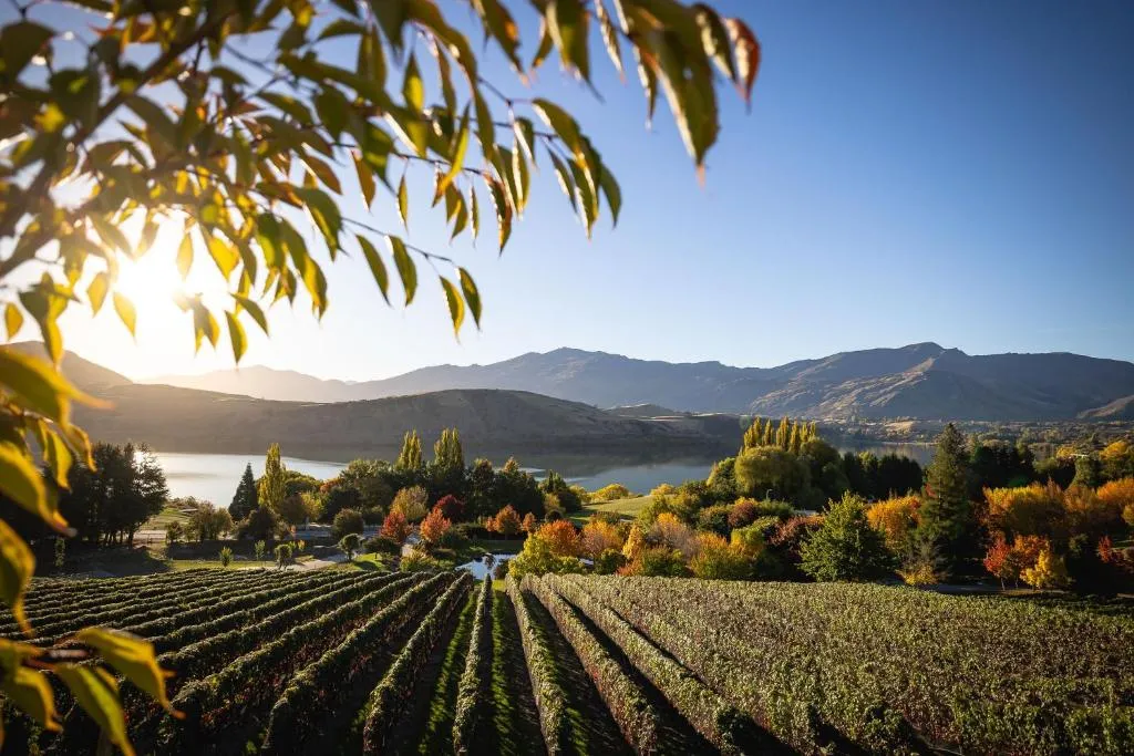 Stoneridge Estate, hotel in Queenstown