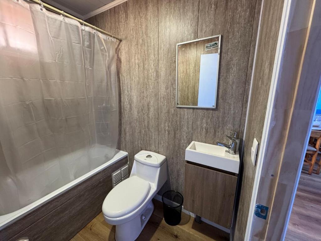 Cozy Cabin in Lonquimay - 2