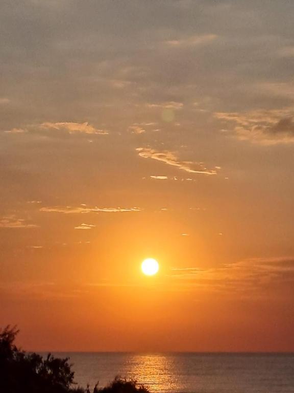 Selena by the sea, Mamaia