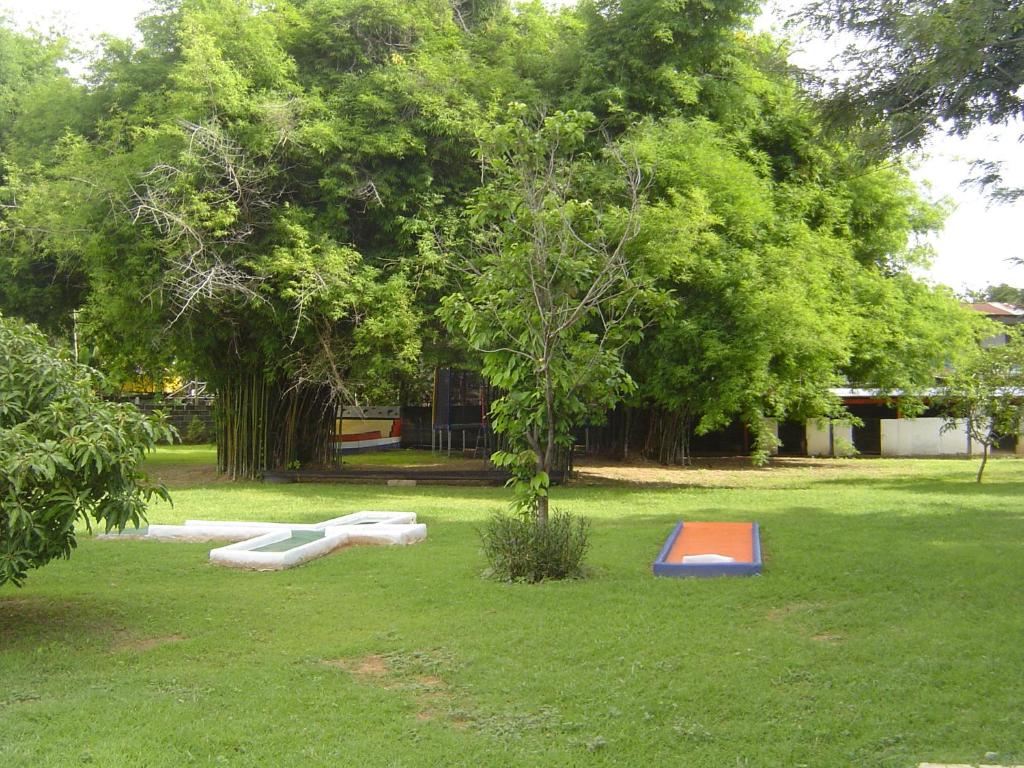 Mini golf course
