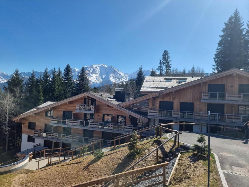Charmant appartement à Combloux près des pistes avec parking - 3