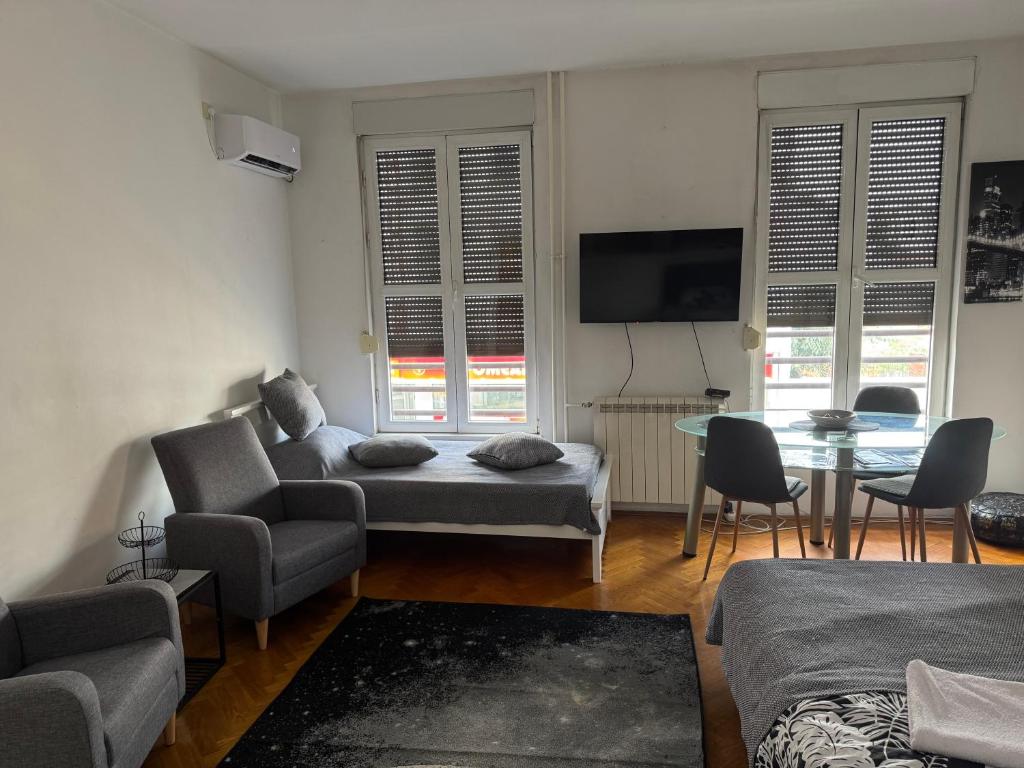 Apartman u Pašićevoj - 2
