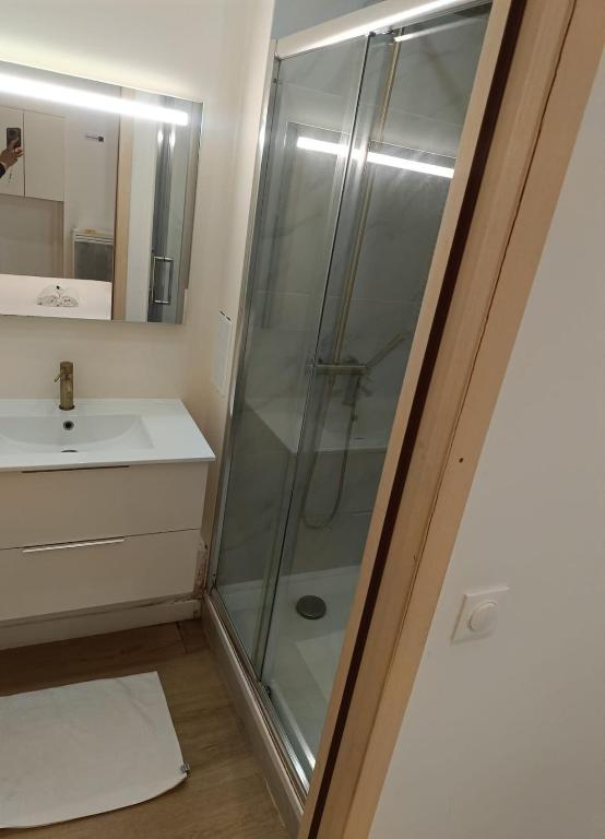 Modern Renovated studio with a touch of gilded glamour central Paris - 5