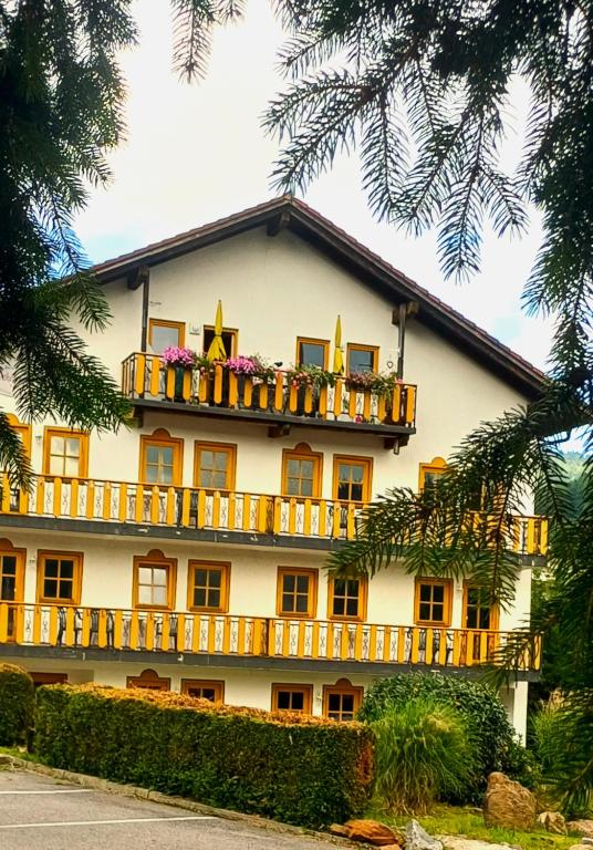 Das Arber-Hotel am Rothbach - 4