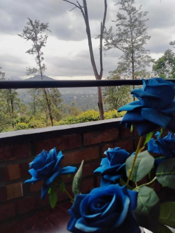 Black Box Residency, Ella