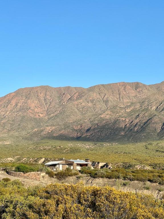 Casa Cactus - Una Experiencia Unica - Potrerillos Mendoza - 2