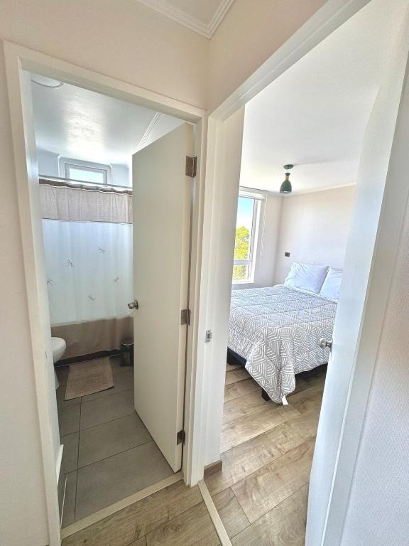 Departamento en Concepción, Frente a Laguna y a minutos del Aeropuerto y centros Comerciales - 4