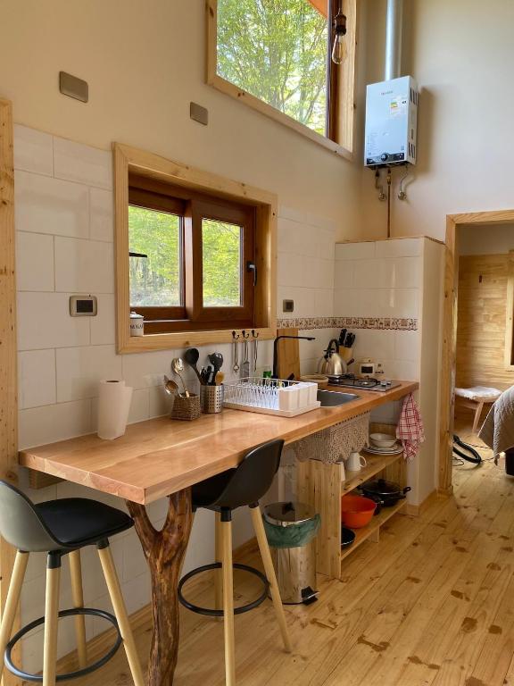 Mini Casa a 6 kilómetros de Villa Cerro Castillo Aysen Carretera Austral - 3