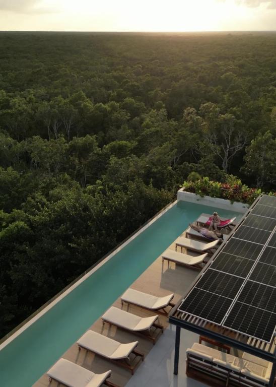 Jungle Studios at 525 Tulum - 3