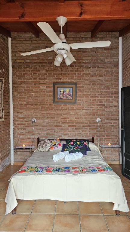 Casa Cian - 1