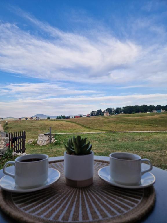 Biser Durmitora, Žabljak