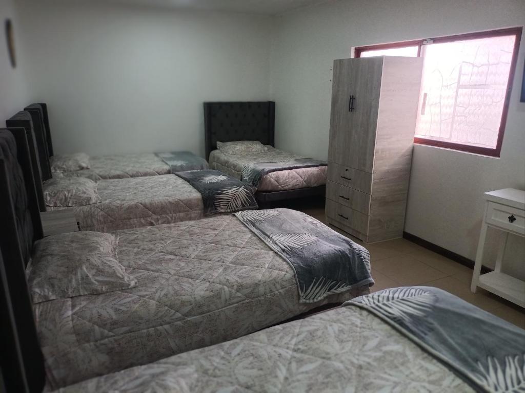 Hostal O'Higgins - 5