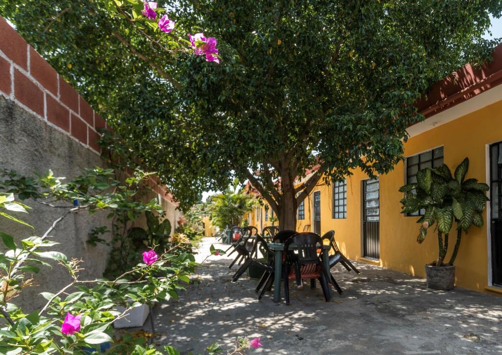 Casa Cuevas & Amaro - 3