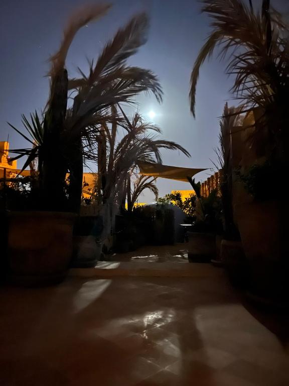 Suite Printemps Ryan, Kairouan