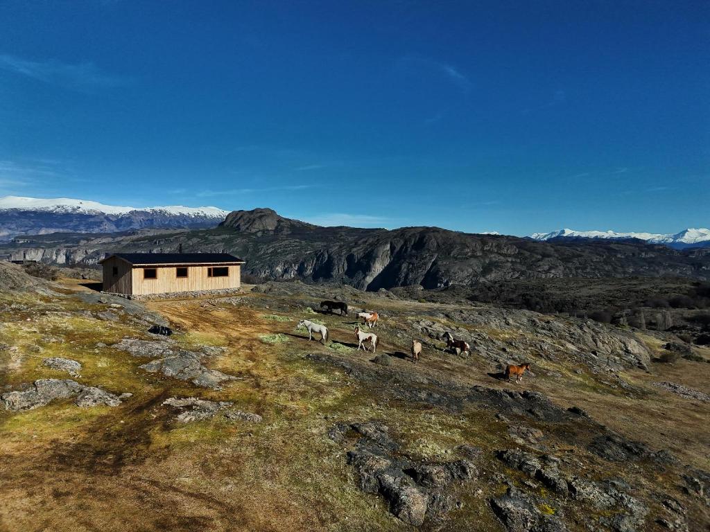 Casa El Puesto Patagonia - 2