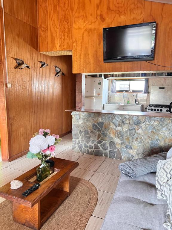 Cabañas ANTUCO NEVADO - 1