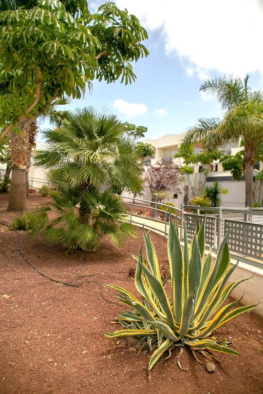 Tenerifeopenhome Townhouse Oasis Fañabe 52 - 5