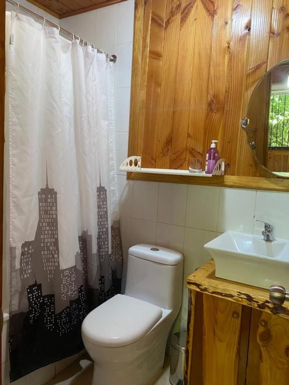 Cabañas Antualen Casa 1 - 4
