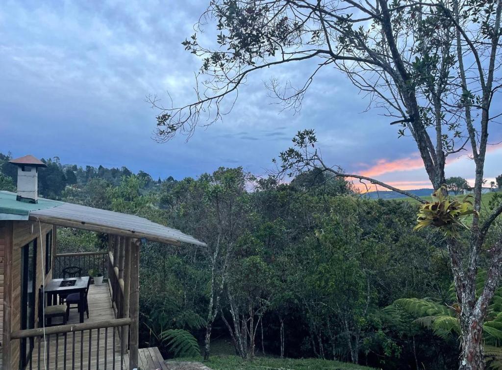 Glamping La Carlina - 1
