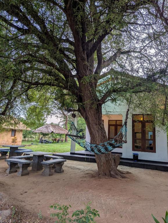 Ethililakeview & safari camp