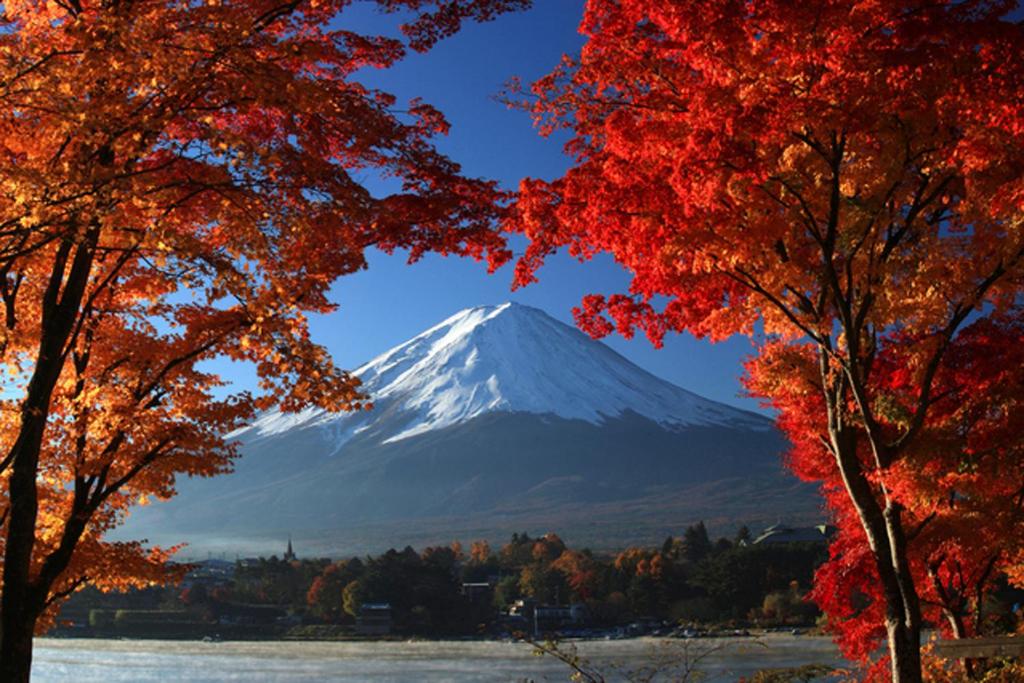 Nearby attraction, Guesthouse Fujinokura Kawaguchiko Ekimaeten in Fujikawaguchiko