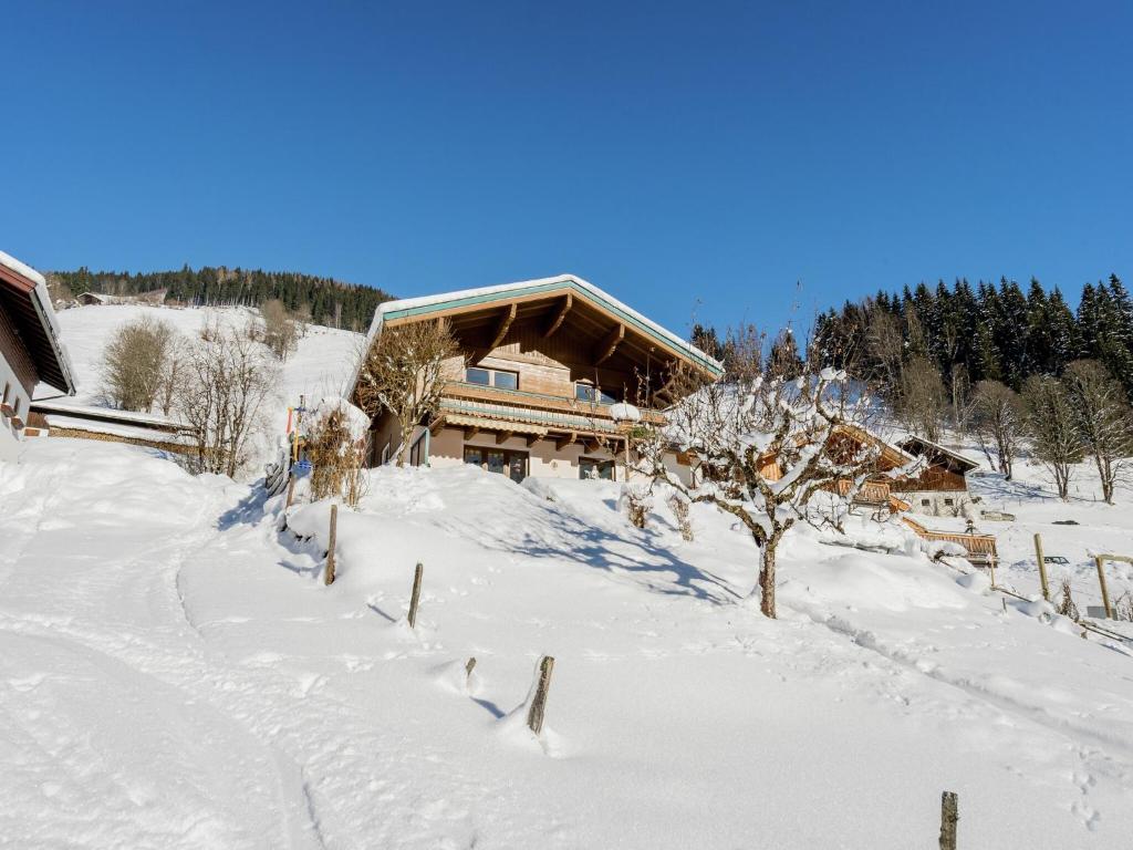 Apartment in Viehhofen near Ski Lifts, Saalbach Hinterglemm